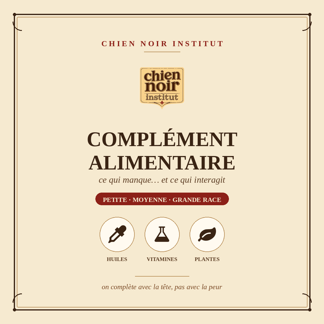 Compléments alimentaires pour chien : lequel choisir et pourquoi