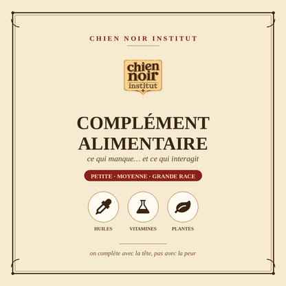Compléments alimentaires pour chien : lequel choisir et pourquoi