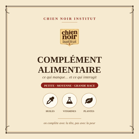 Compléments alimentaires pour chien : lequel choisir et pourquoi