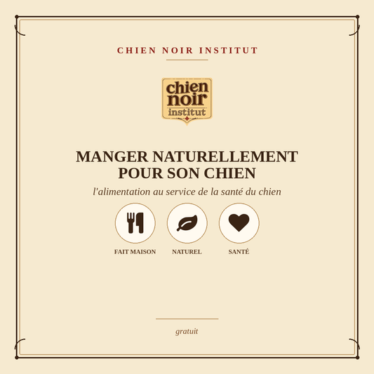 Manger naturellement pour son chien - ebook gratuit