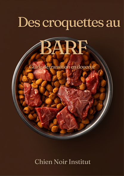Des croquettes au BARF - affiche