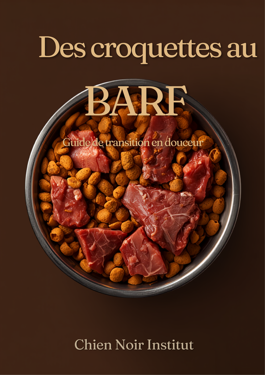 Des croquettes au BARF - affiche