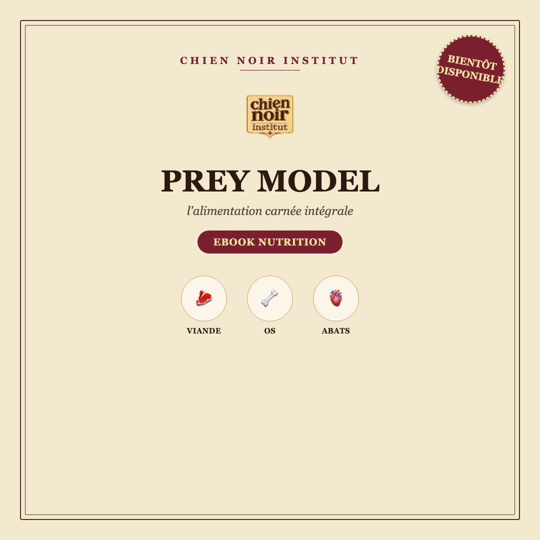 Ebook Prey Model - bientôt disponible