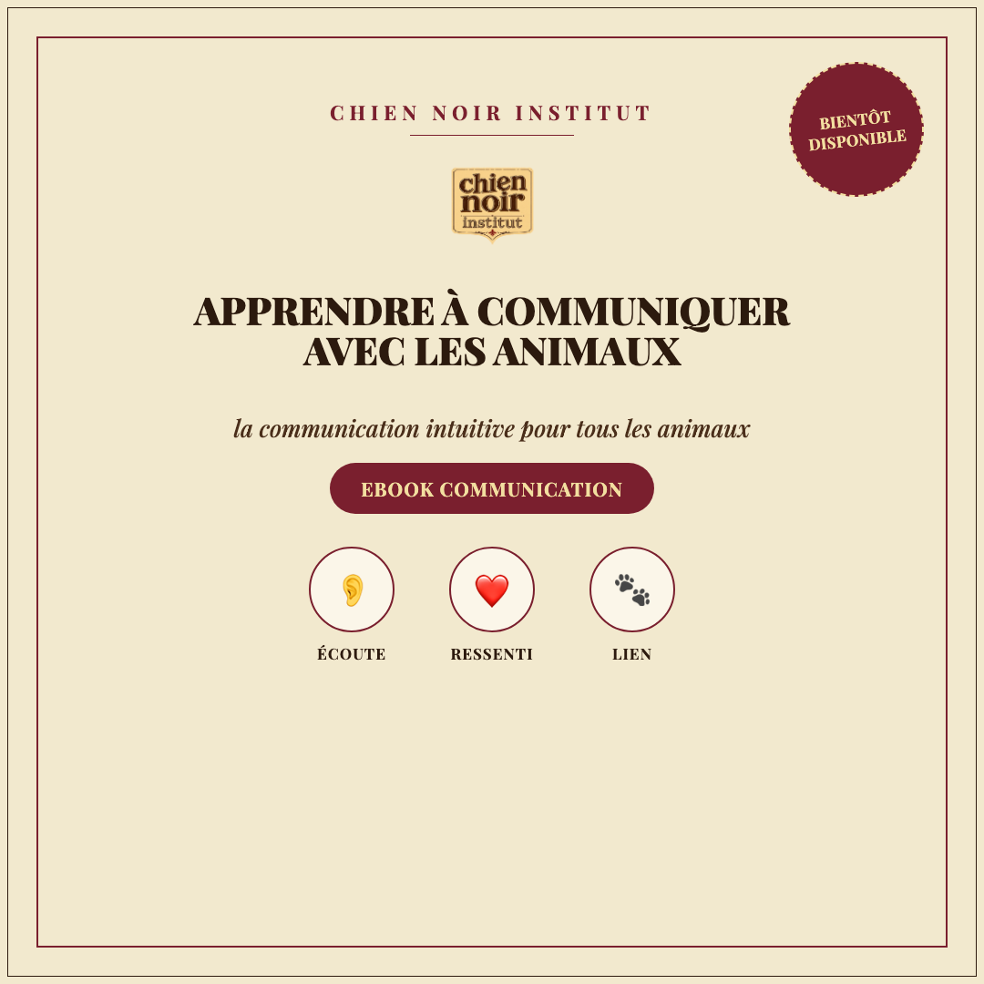 Apprendre à communiquer avec les animaux - ebook Chien Noir Institut