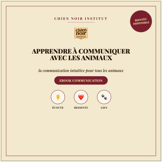Apprendre à communiquer avec les animaux - ebook Chien Noir Institut