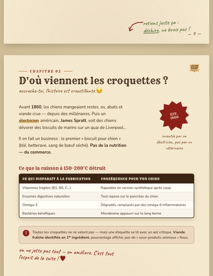 Extrait ebook Mixte - page 2