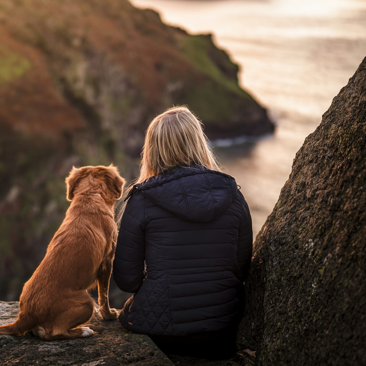 Communication animale intuitive avec un chien en pleine nature