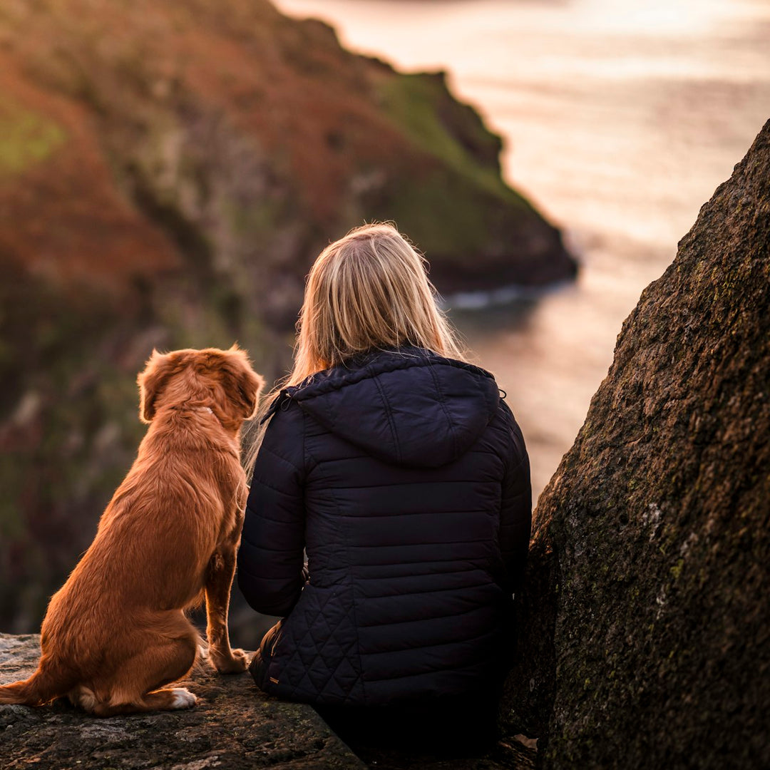 Stage de communication animale intuitive